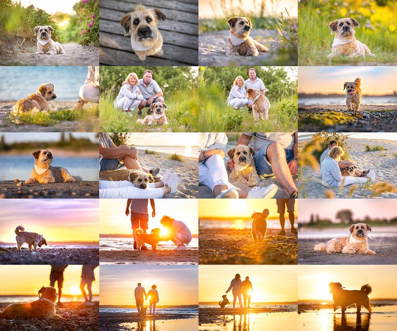 Collage Hund-Mensch-Fotoshooting am Strand